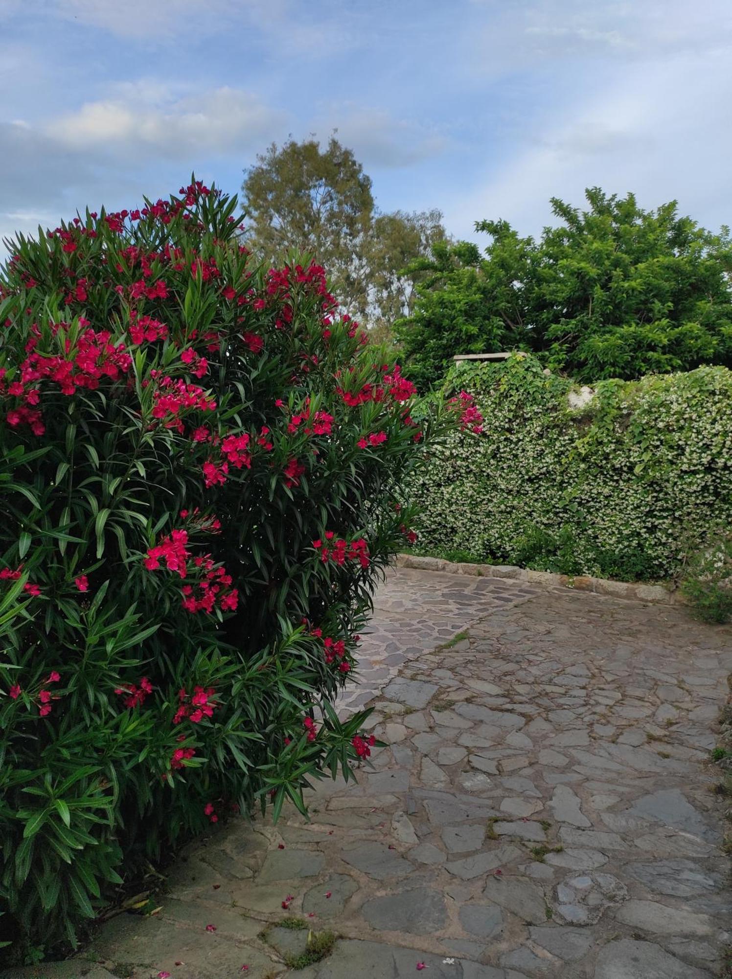 Agriturismo Asara Padru 외부 사진